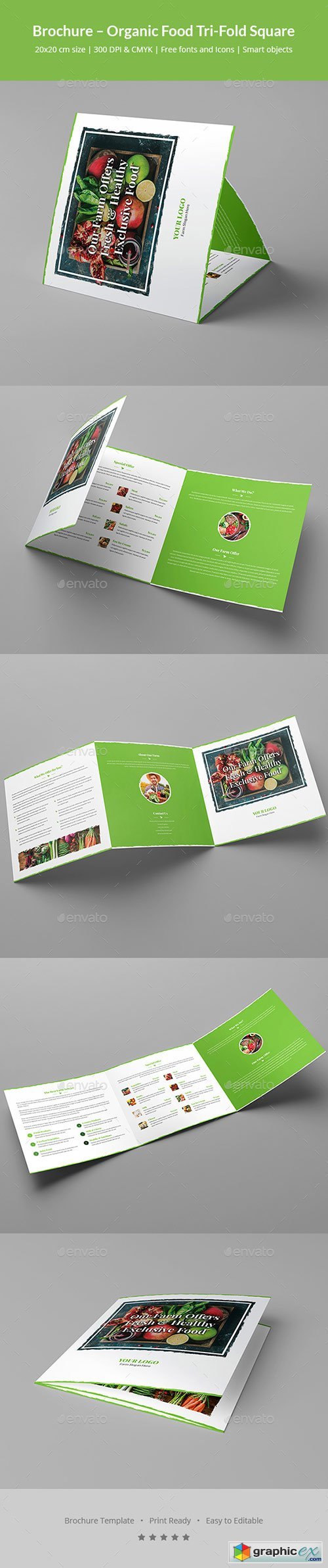 Brochure  Organic Food Tri-Fold Square