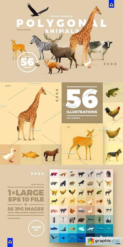 Set of Polygonal Animals
