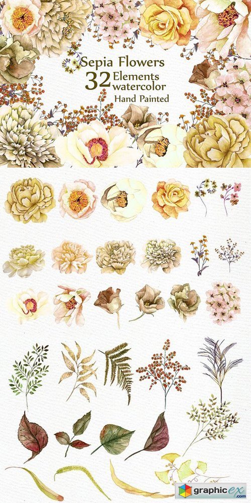 Watercolor Sepia flowers Clipart
