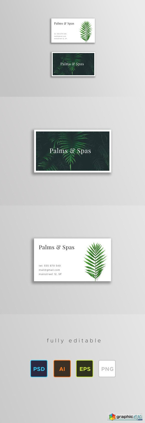 Palms and Spas Business Card