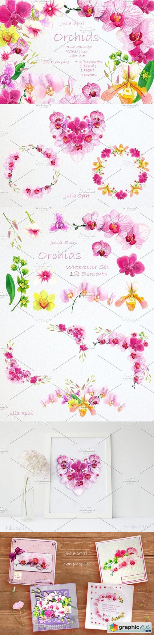 Orchids Watercolor Clip Art