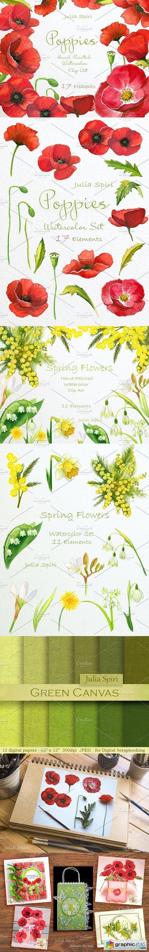 Poppies & Spring Flowers. Watercolor