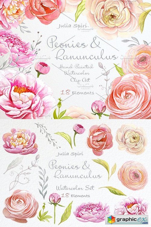 Peonies & Ranunculus. Watercolor Set