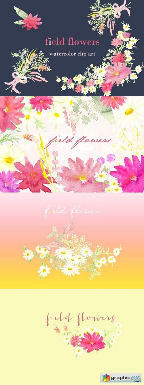 Field Flowers watercolor clip art