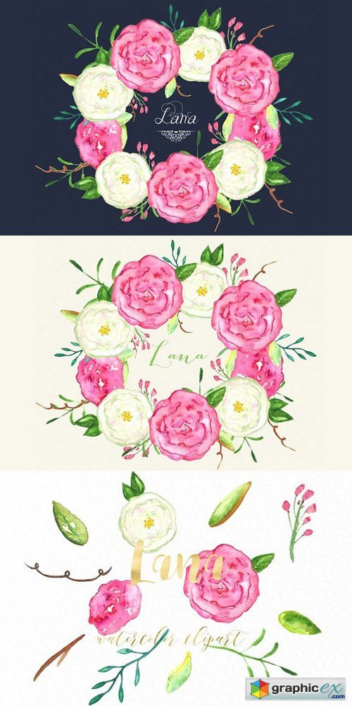 Roses Lana watercolor Clipart