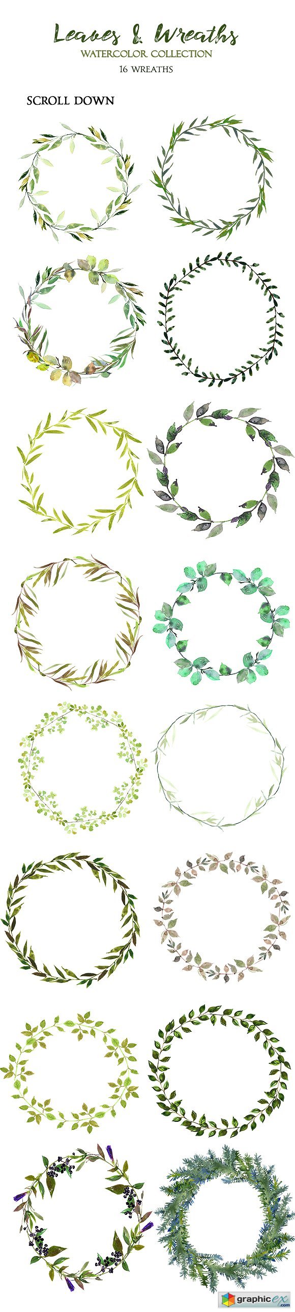 Leaves and Wreaths Watercolor Set