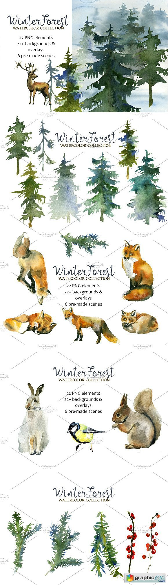 Forest Fir Trees Watercolor Clipart