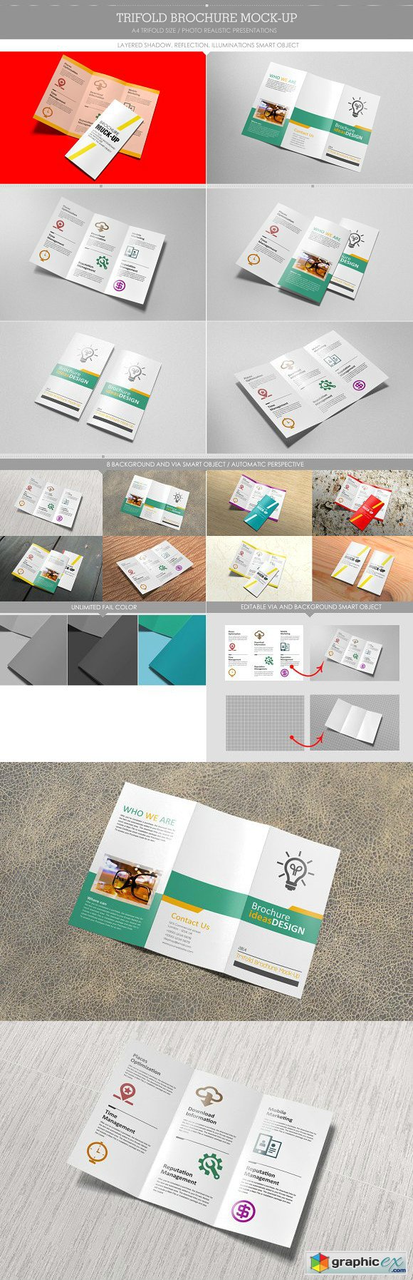 Trifold Brochure Mock-Up 1815485