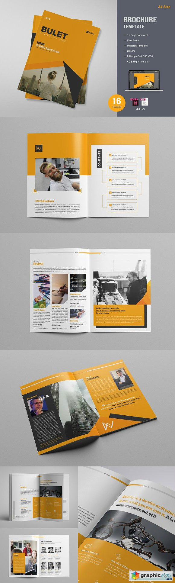 The Brochure 1772588