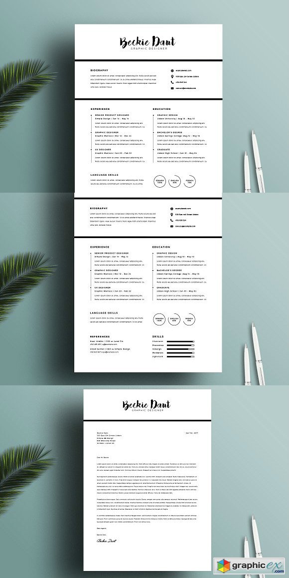 Resume Template 2 pages