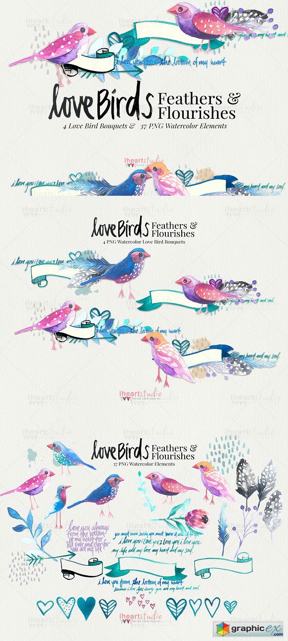 Love Birds Watercolors
