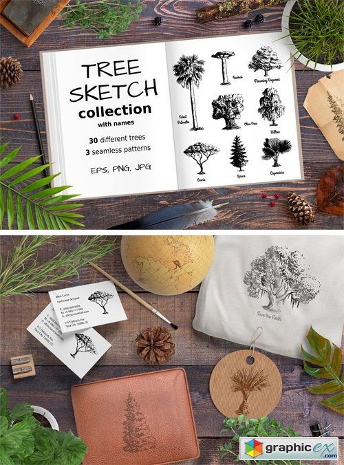 Set of Sketch Trees