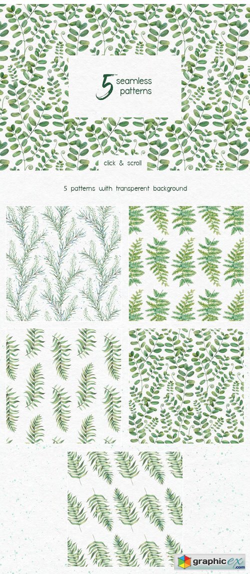 Watercolor Herbs. Clipart Collection