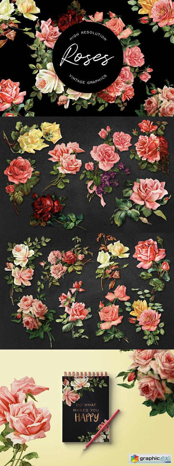 Vintage Rose Graphics