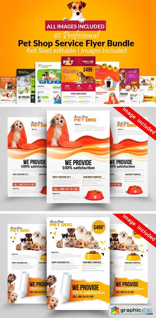 10 Pet Shop Flyer Bundle Vol 01