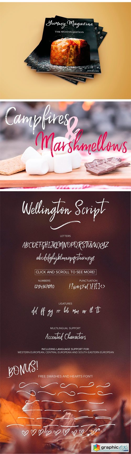 Wellington Script Font