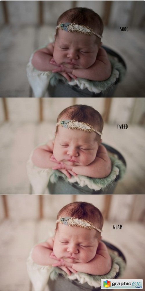 Twig & Olive Photography - LR Daydream Presets