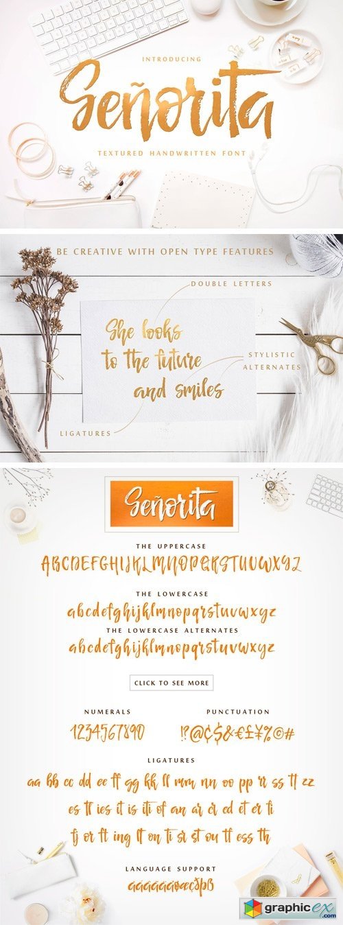 Senorita Handwritten Textured Font