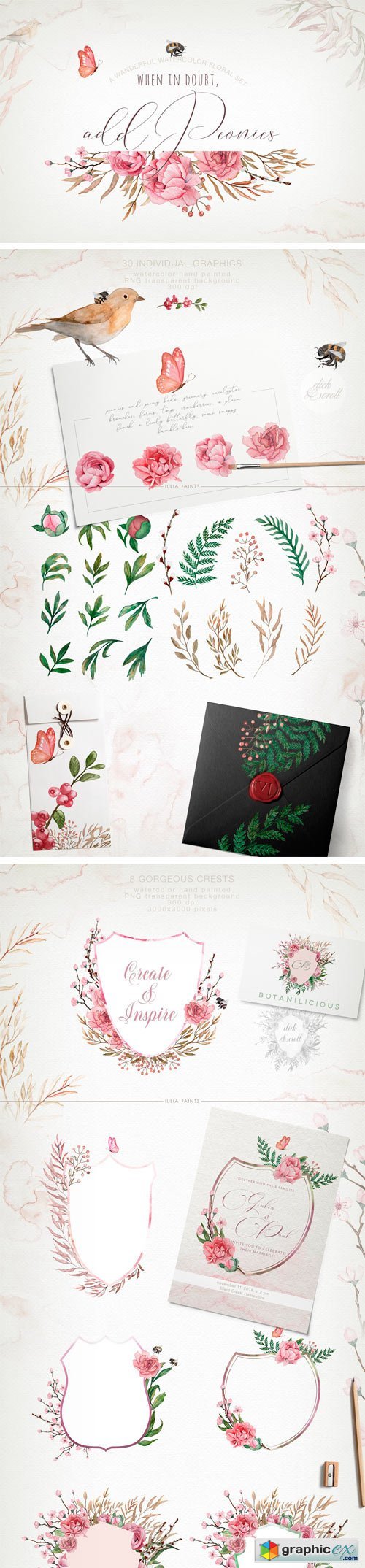 Add Peonies - Watercolor Graphic Set