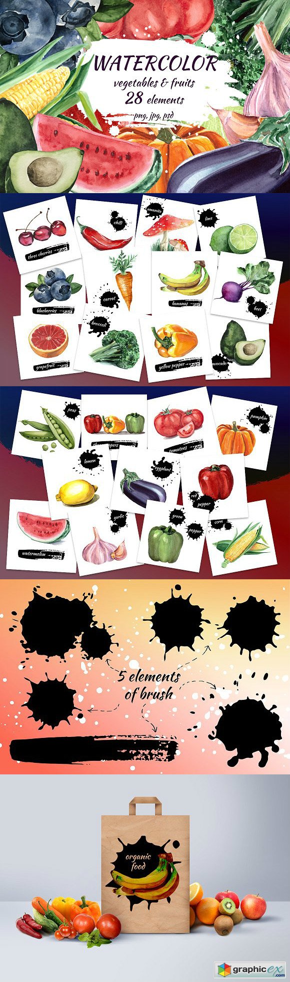 Watercolor vegetables & fruits 1934987