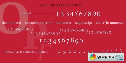 Tapa Font Family - 5 Fonts