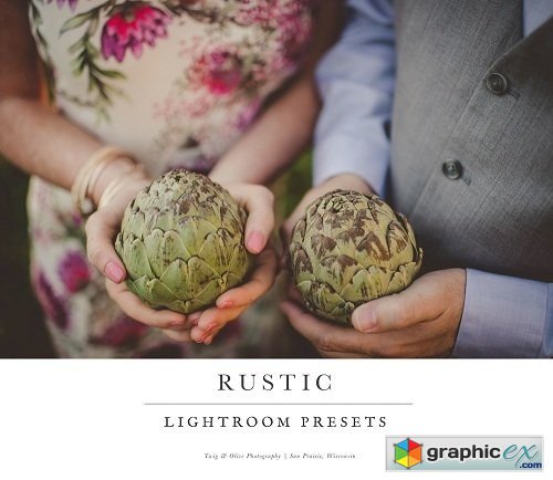 Twig & Olive Photography - Rustics Lightroom Presets