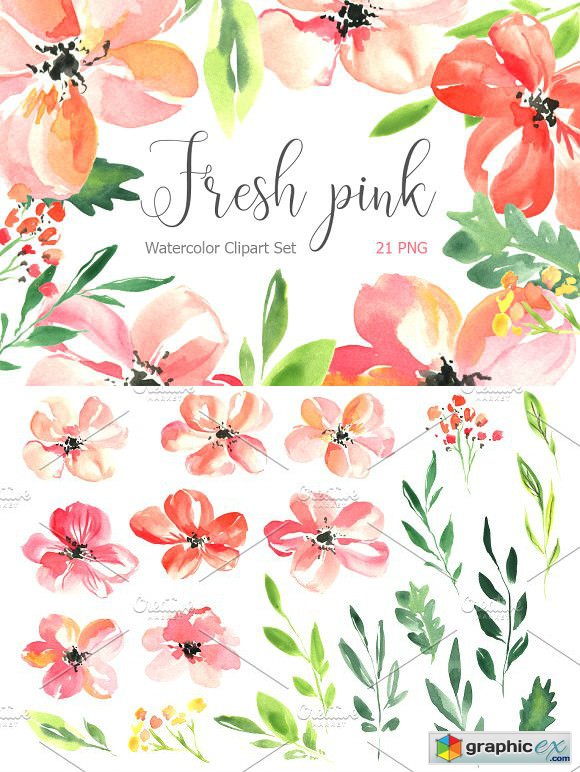 Fresh pink watercolor flowers set