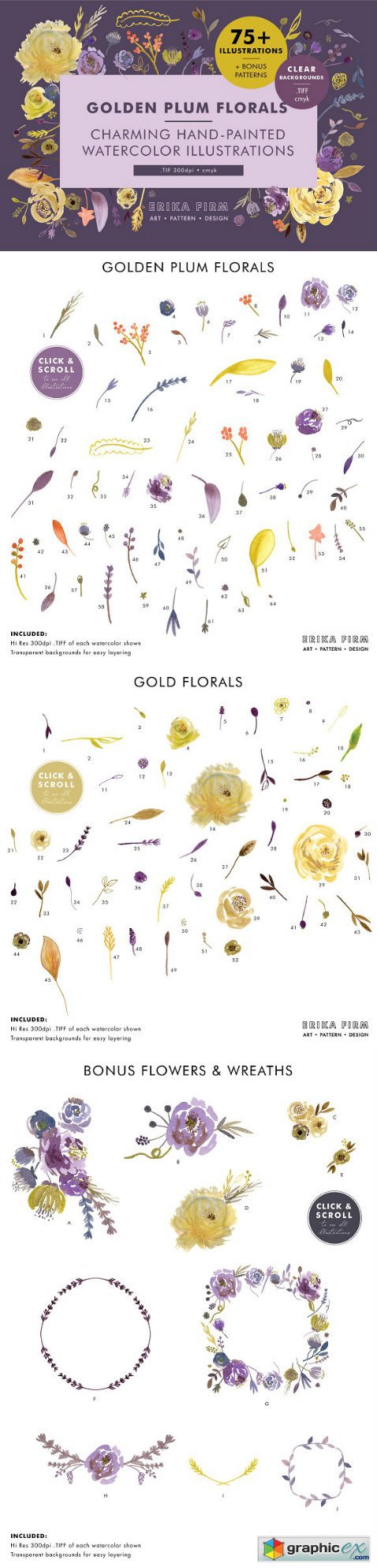 Golden Plum Floral Watercolors