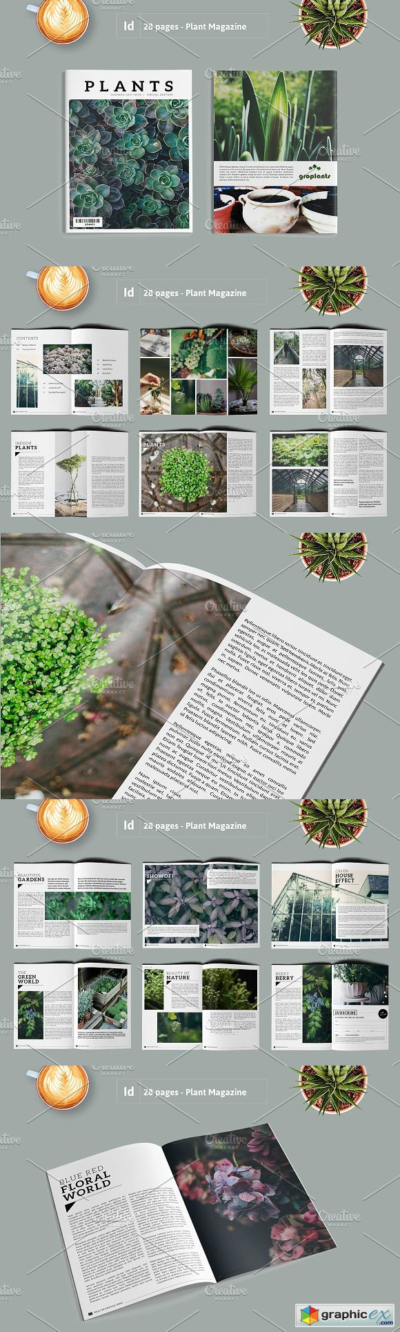 PLANTS Magazine Portfolio