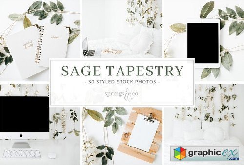 Sage Tapestry Styled Stock Photos