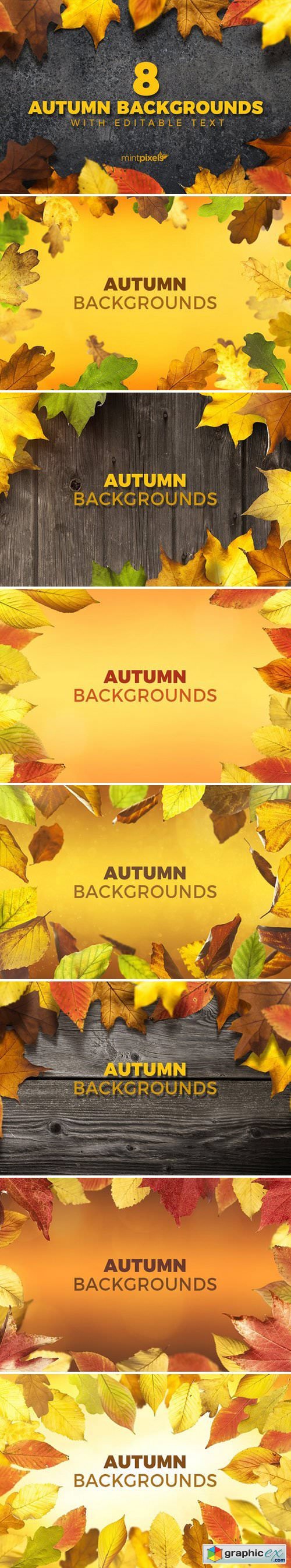 8 Colorful Autumn Backgrounds