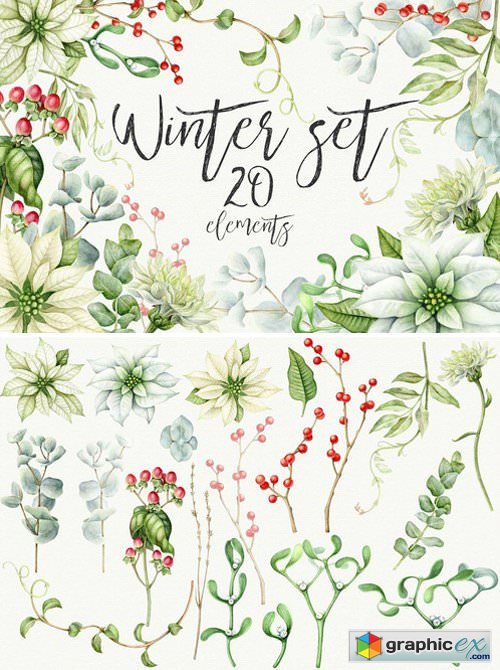 Winter floral set