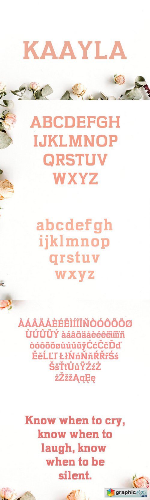 Kaayla Slab Serif 4 Font Pack