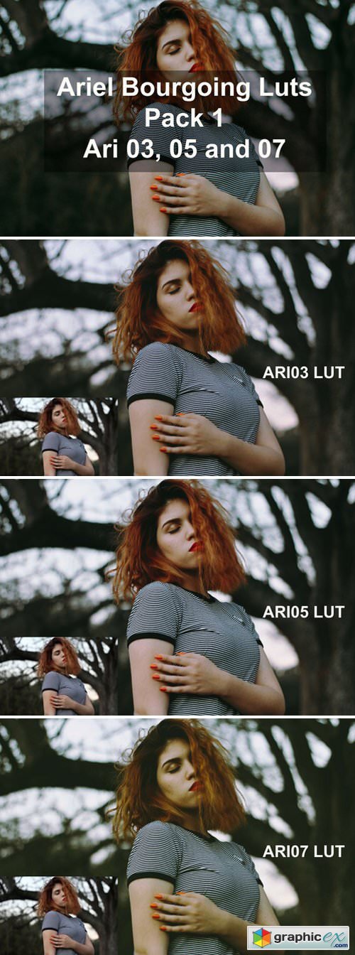 Ariel Bourgoing Luts Pack