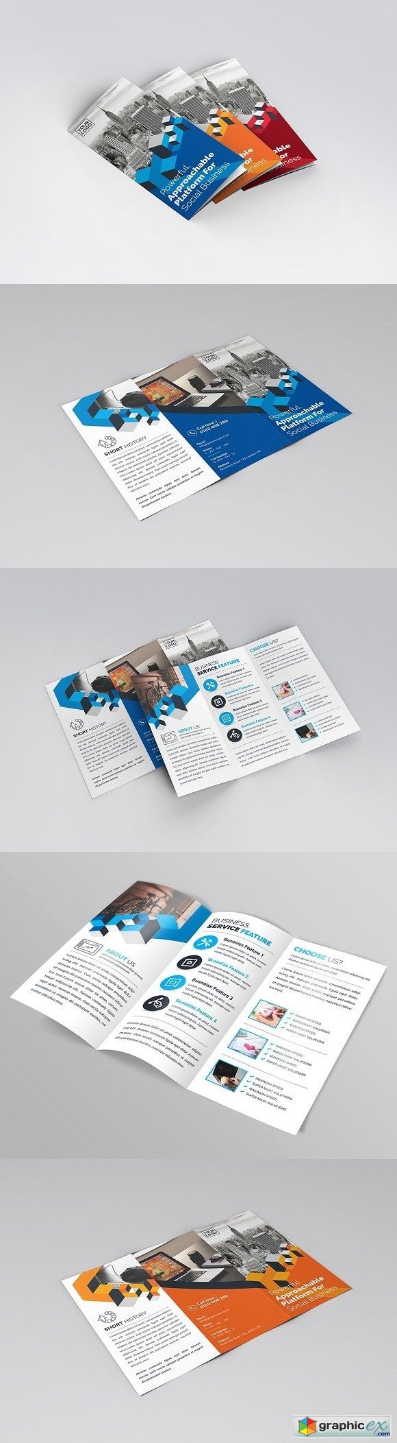 Tri-Fold Brochure 2048550