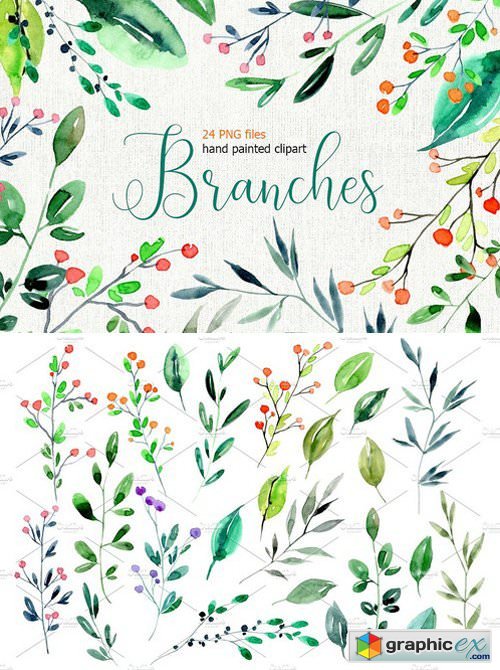 Watercolor branches, leaves PNG