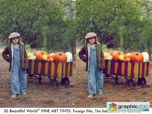 JD Beautiful World Actions: Fine Art Tints Photoshop Actions