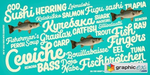 Big Fish Font Family - 4 Fonts