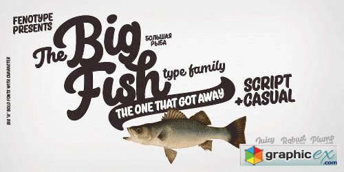Big Fish Font Family - 4 Fonts