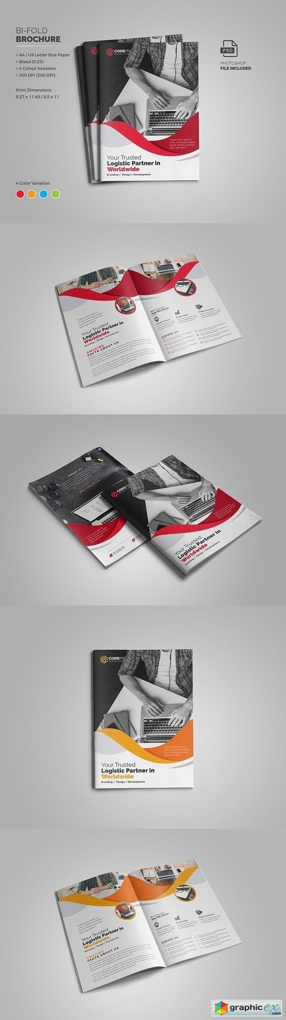 Bi-Fold Brochure 2066116
