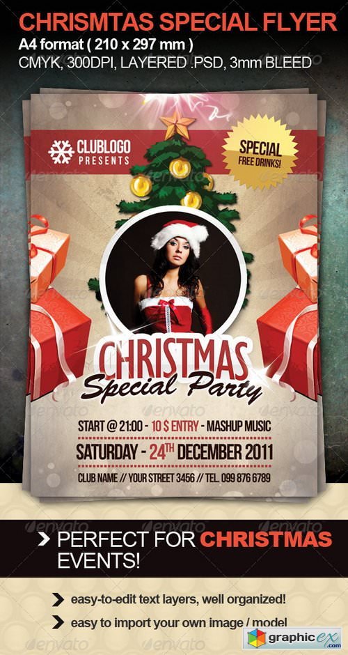 Christmas Special Party Flyer