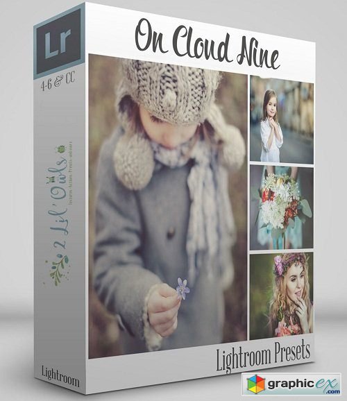 2 Lil' Owls - On Cloud Nine Lightroom Presets