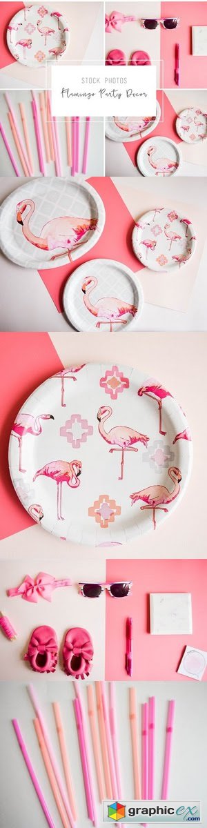 Flamingo Party Photo Bundle
