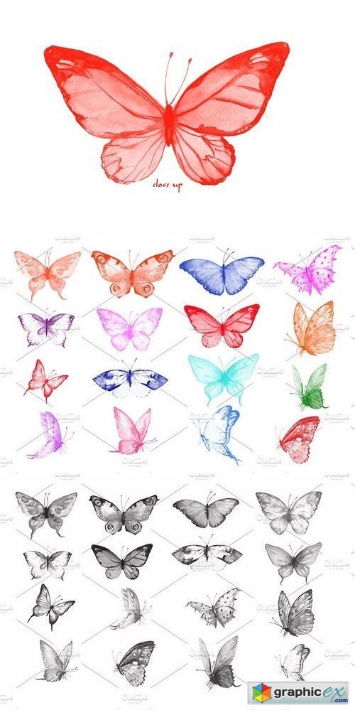 Photoshop Brush Watercolor Butterfly