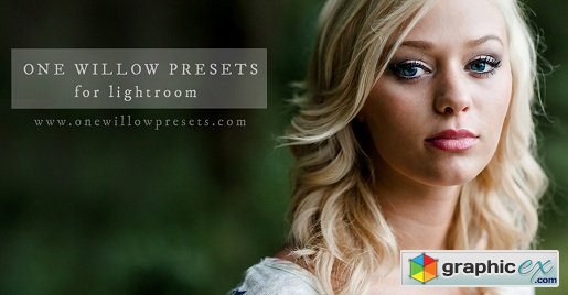 One Willow Lightroom Presets - Brush Collection