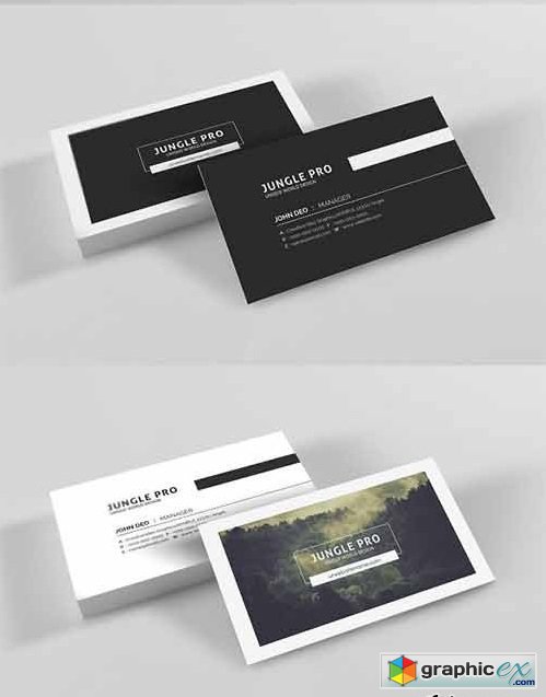Business Card 2083355