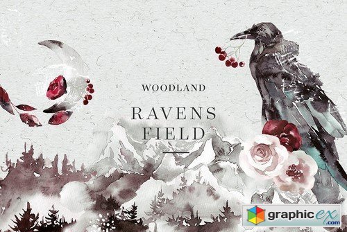 Woodland Ravens Field