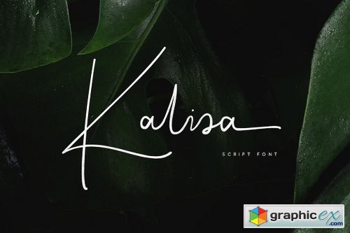 Kalisa Signature Font 2073660