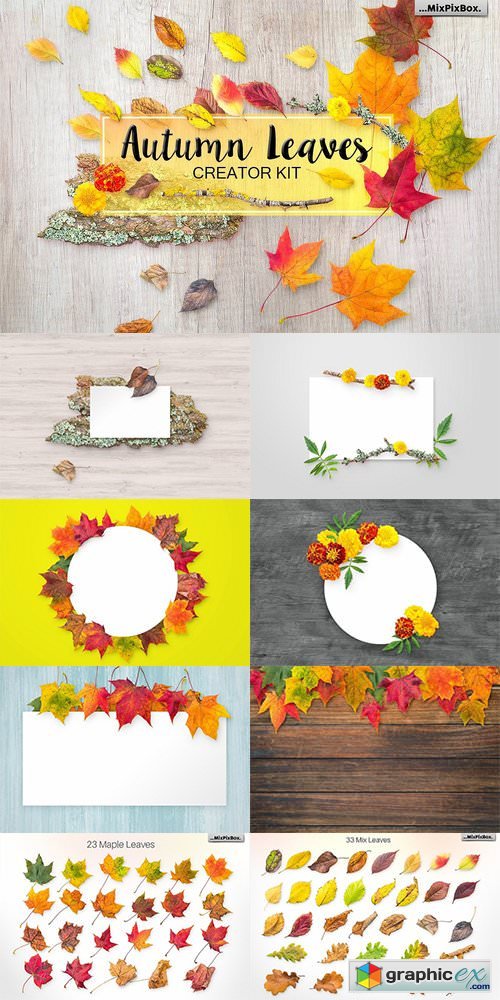 Autumn Leaves - Creator Kit