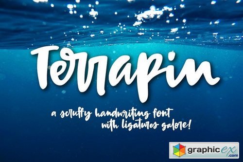 Terrapin a scrappy handwriting font